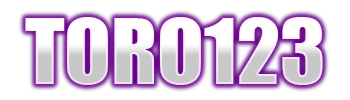 Logo TORO123